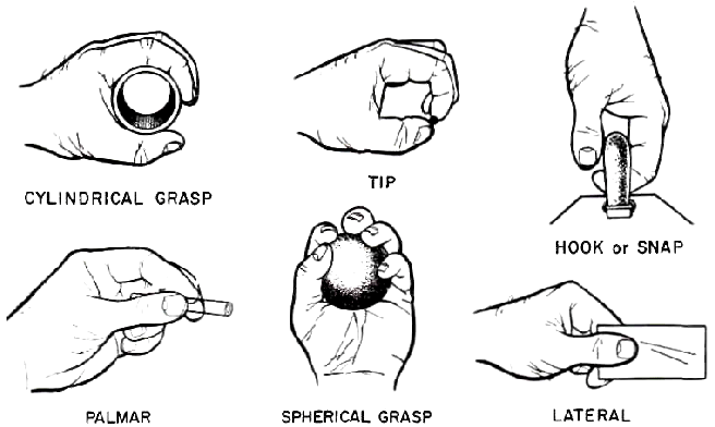 grasp general responsibility assignment